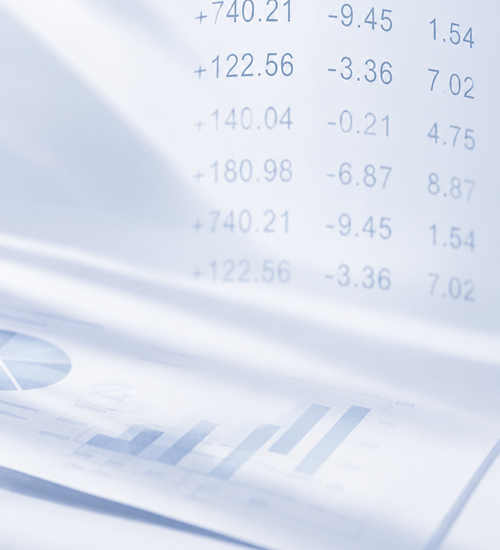 About Polygon Capital